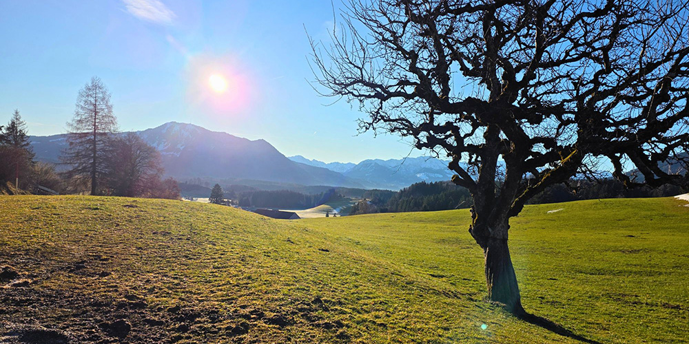 Sonnenaufgang über den Allgäuer Alpen mit Blick vom Ferienhof Eger
