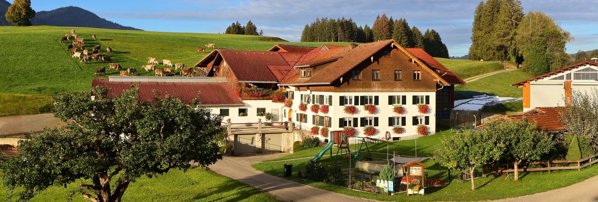 Ferienhof Eger im Allgäu mit Kühen auf der Weide, Spielplatz und grüner Landschaft