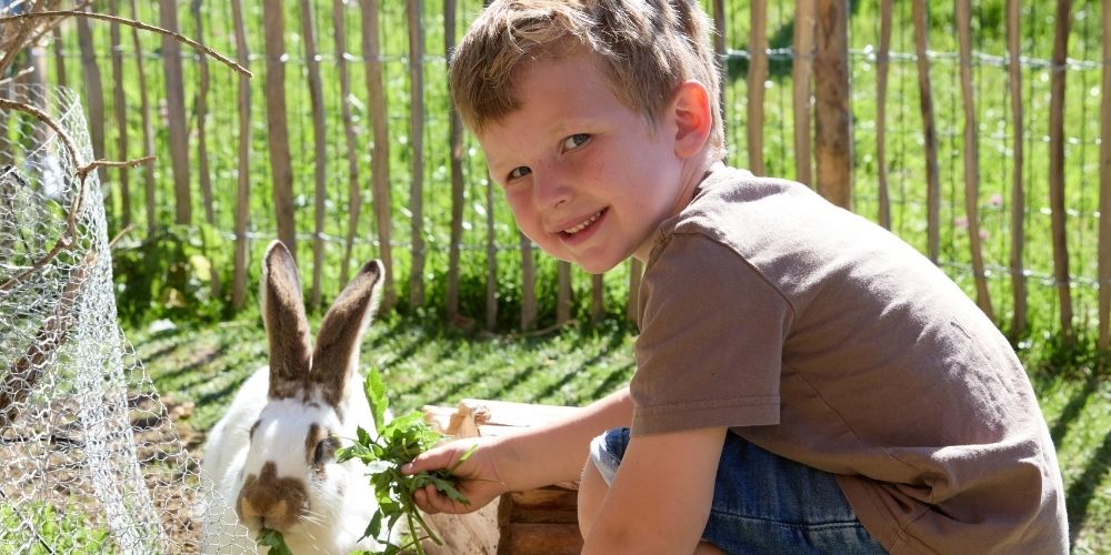 Kind füttert ein Kaninchen auf dem Ferienhof Eger – Bauernhofurlaub mit Tieren für Kinder im Allgäu