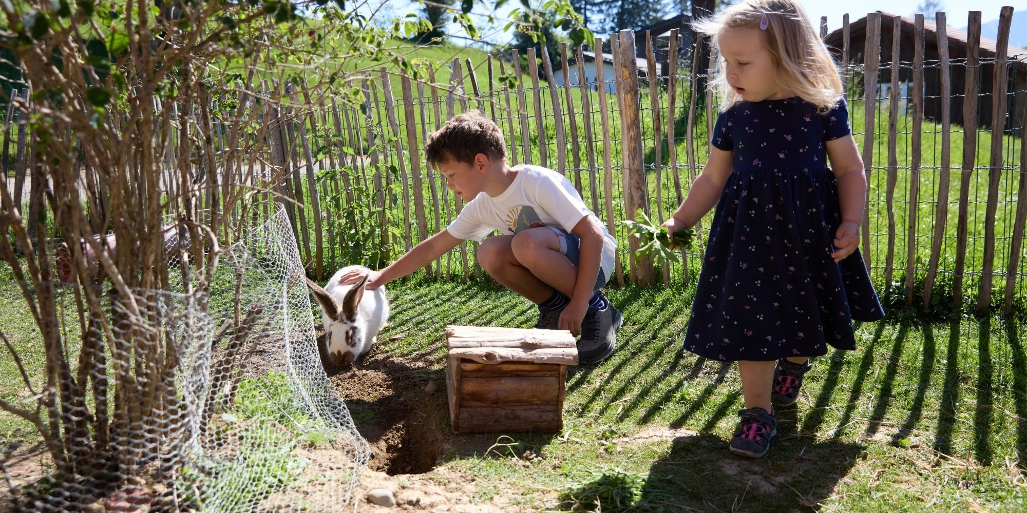 Kinder erleben Kaninchen auf dem Ferienhof Eger – Bauernhofurlaub mit Tieren im Allgäu